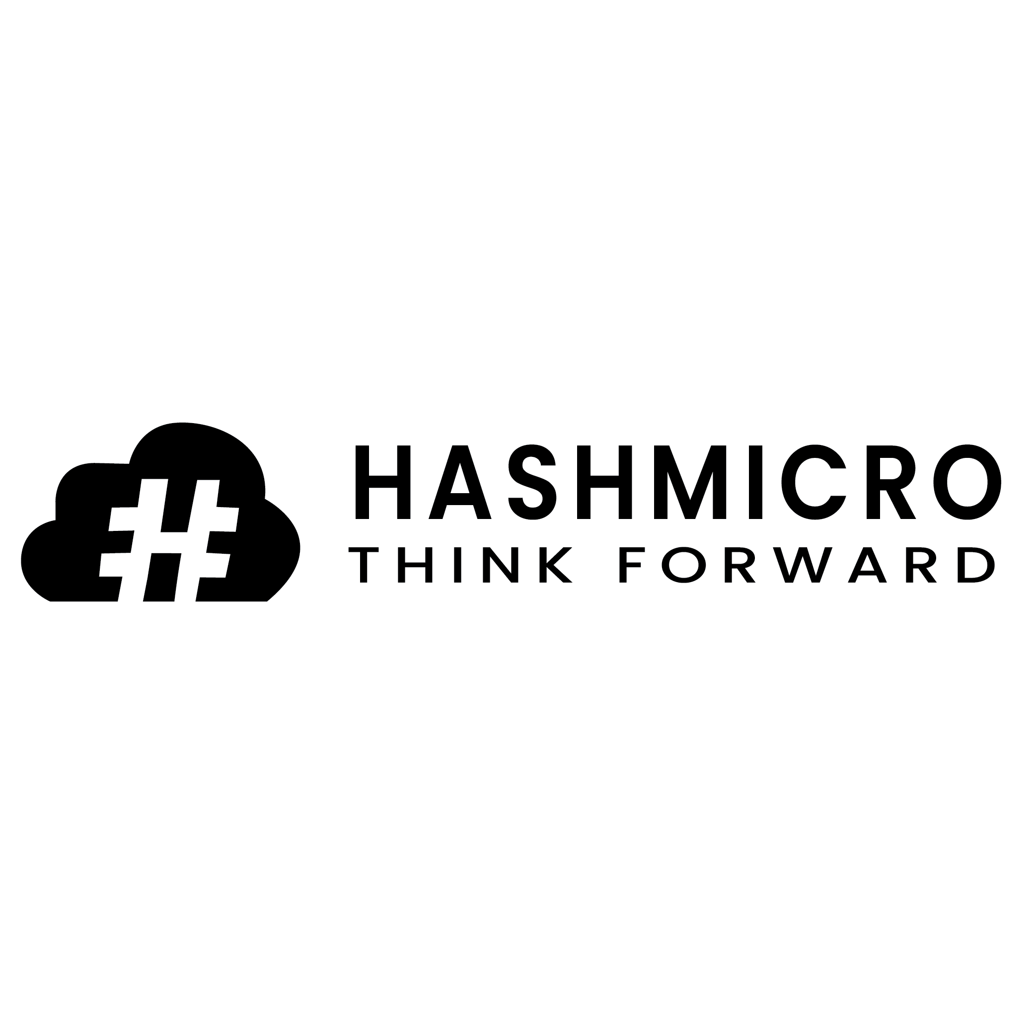 PT. Hashmicro Solusi Indonesia Logo